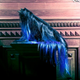 Image for article titled Cats Wearing Couture Throw A Party In Paris